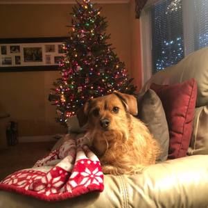 Meet your Posher, Audrey